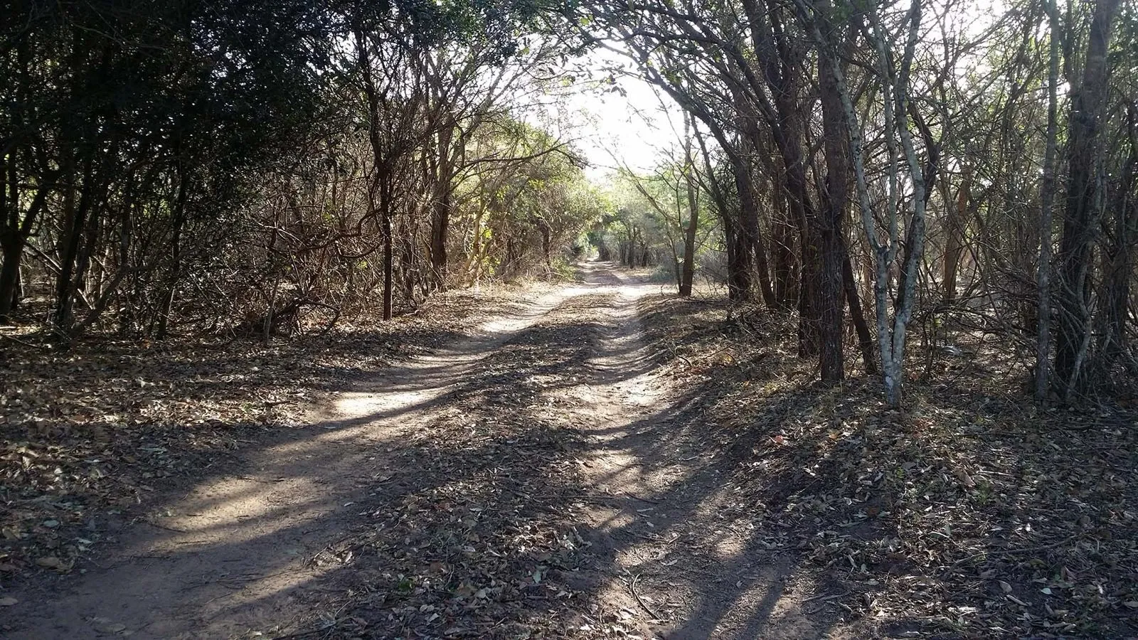 The sandy track leading into the reserve