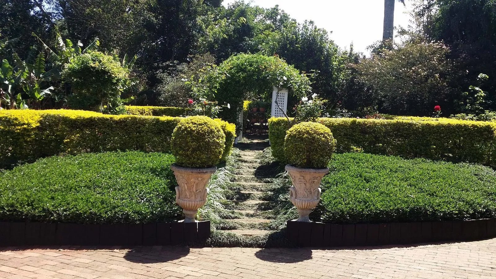 A formal garden with clipped hedges