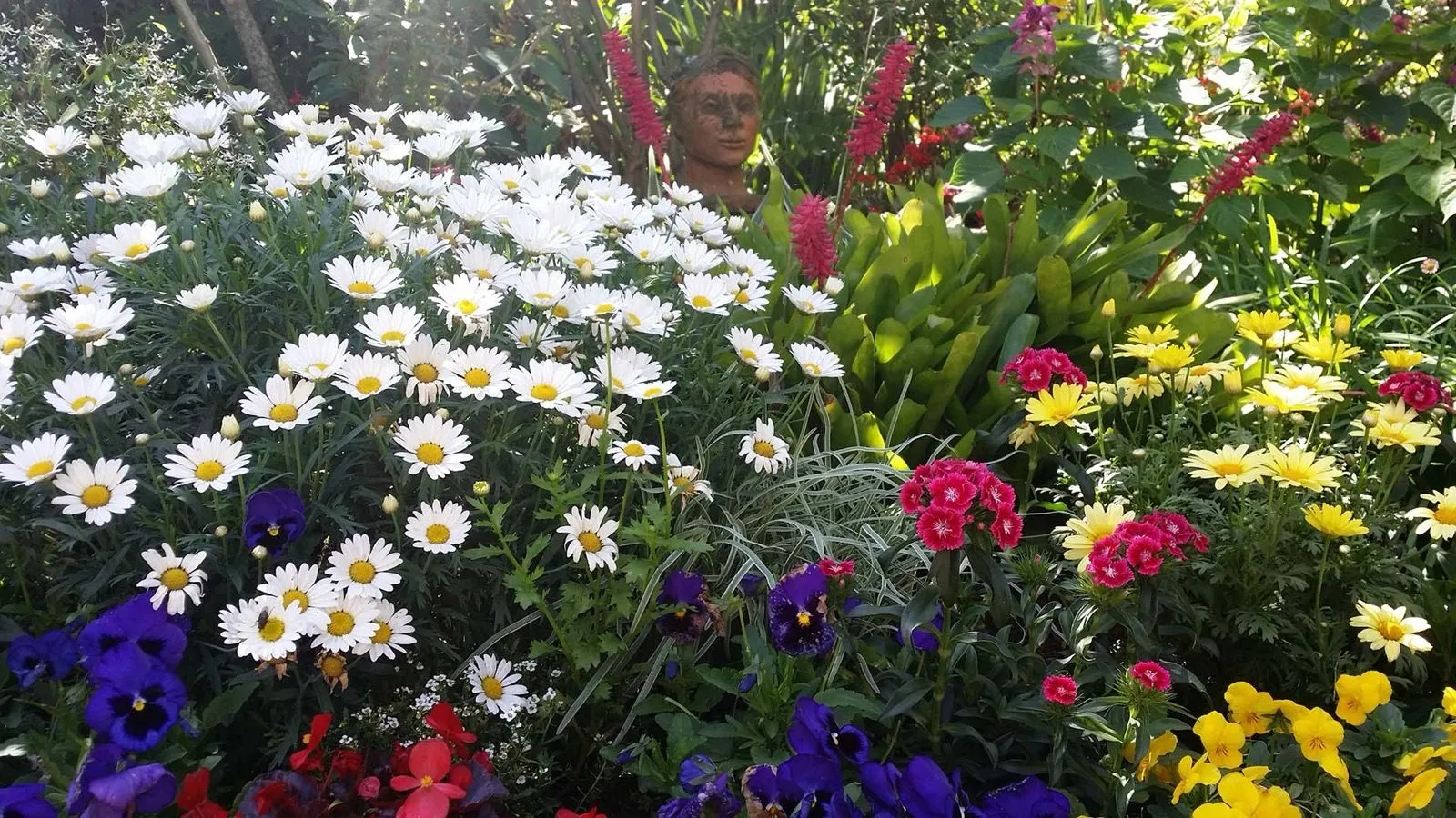 A bed of mixed flowers