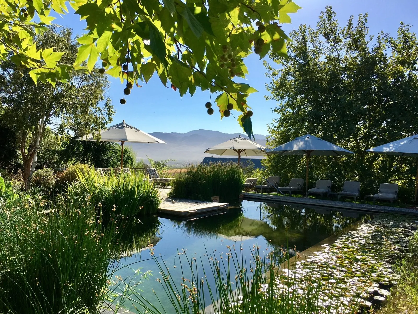 The pool and water garden below the Simonsberg