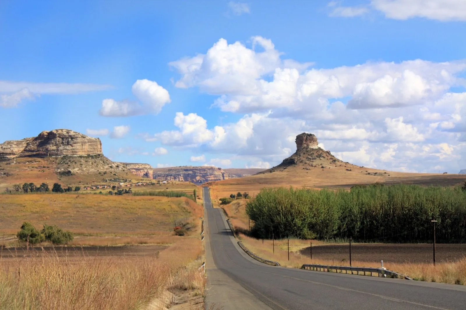The road in, with a sandstone koppie ahead