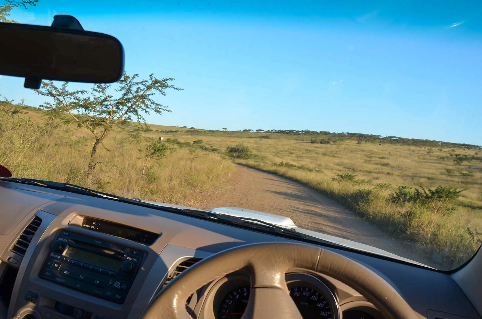 The reserve road seen from behind the wheel on a self-drive