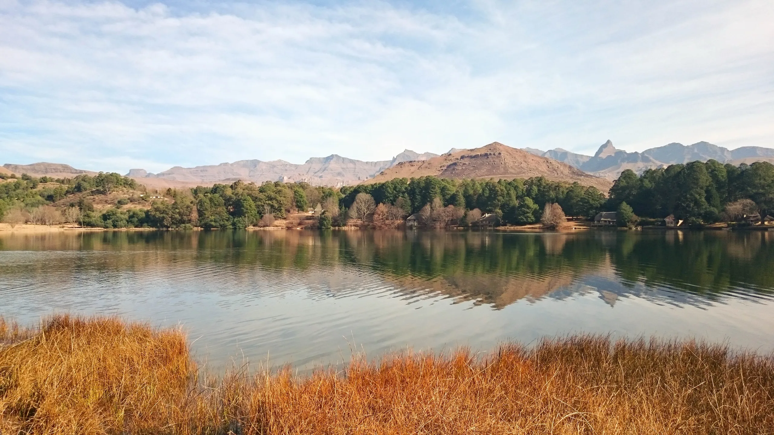 Autumn reeds along the water's edge below the mountains