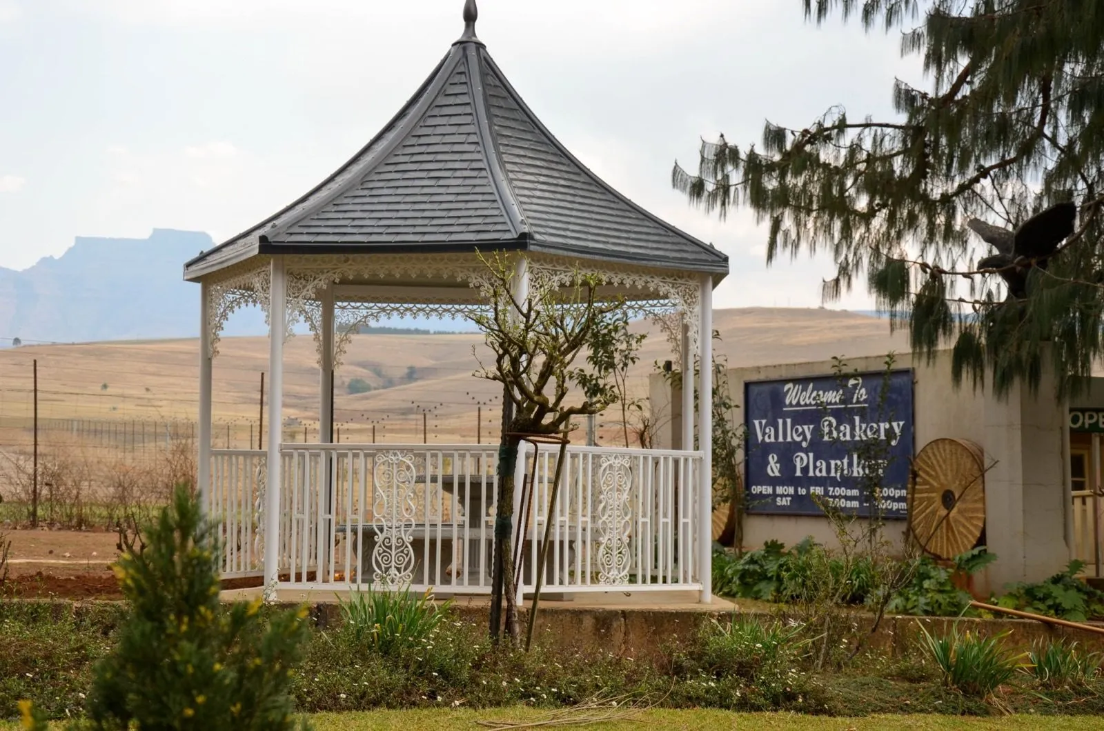 The gazebo and bakery sign out on the lawn