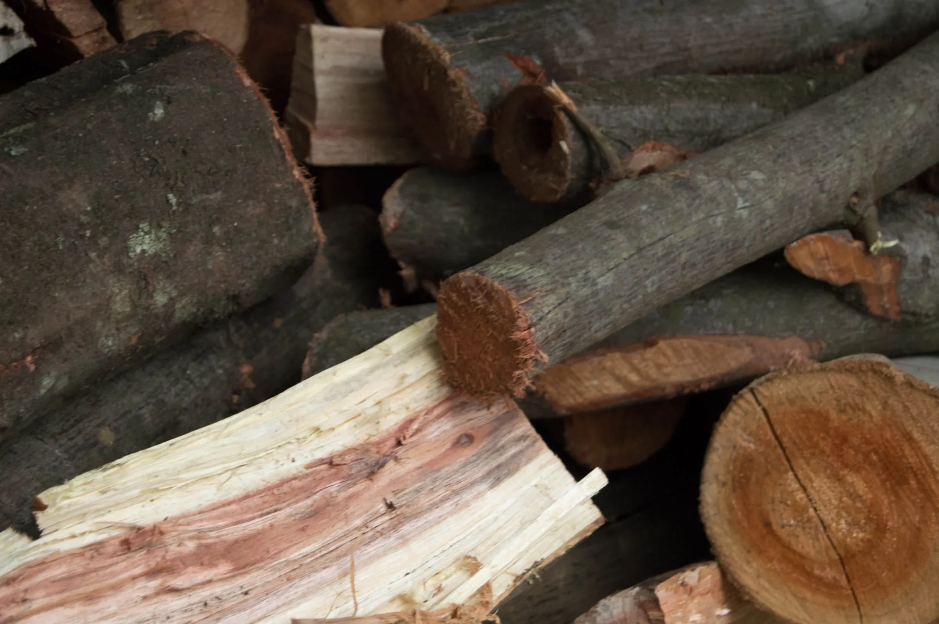 A stack of split firewood waiting beside the braai