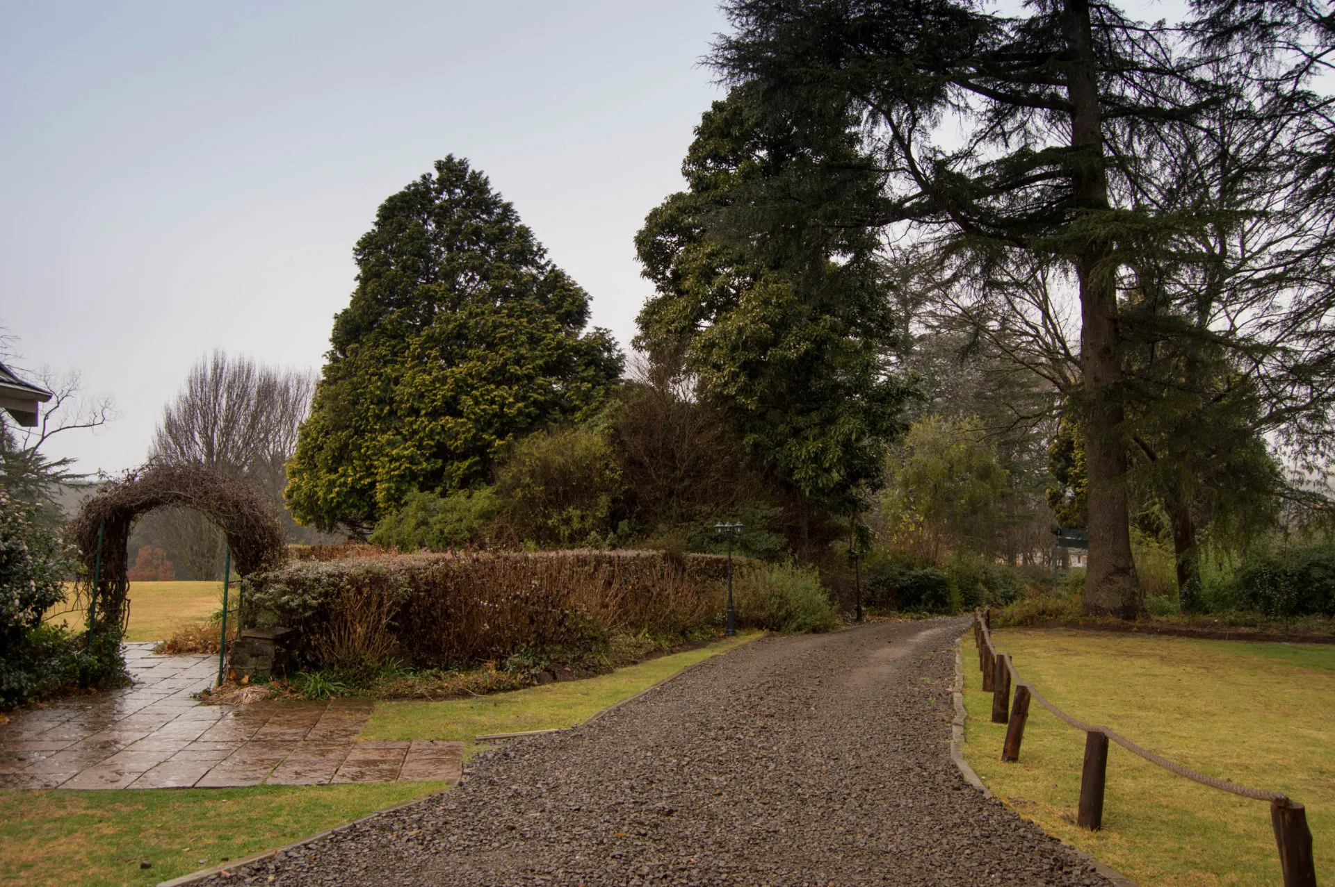 The wet gravel road out of the lodge, lined with dark trees