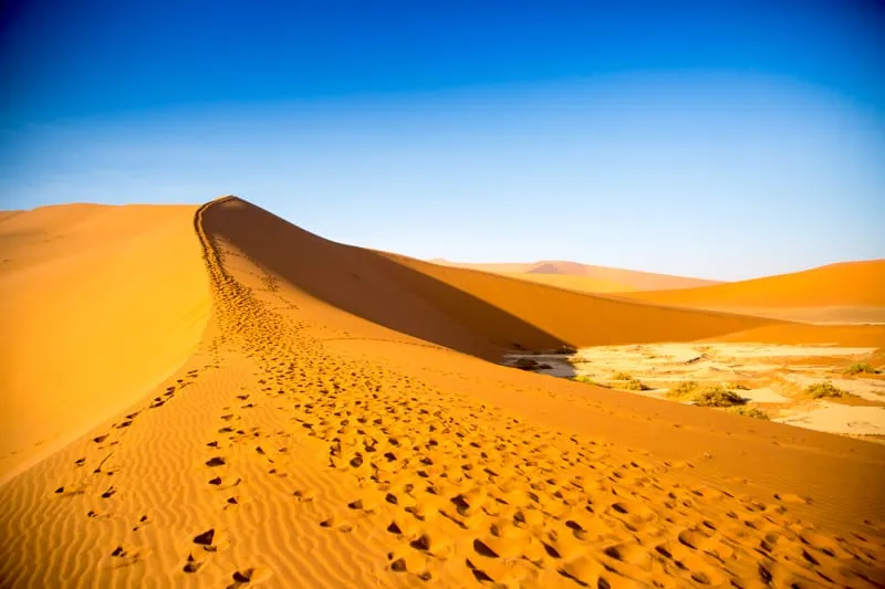 A dune ridge at Sossusvlei with a line of footprints along the crest