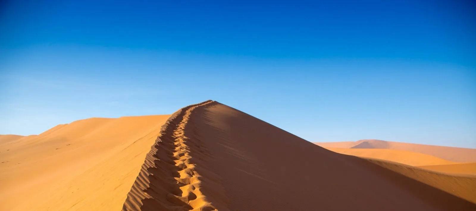 A dune ridge running away into the Namib