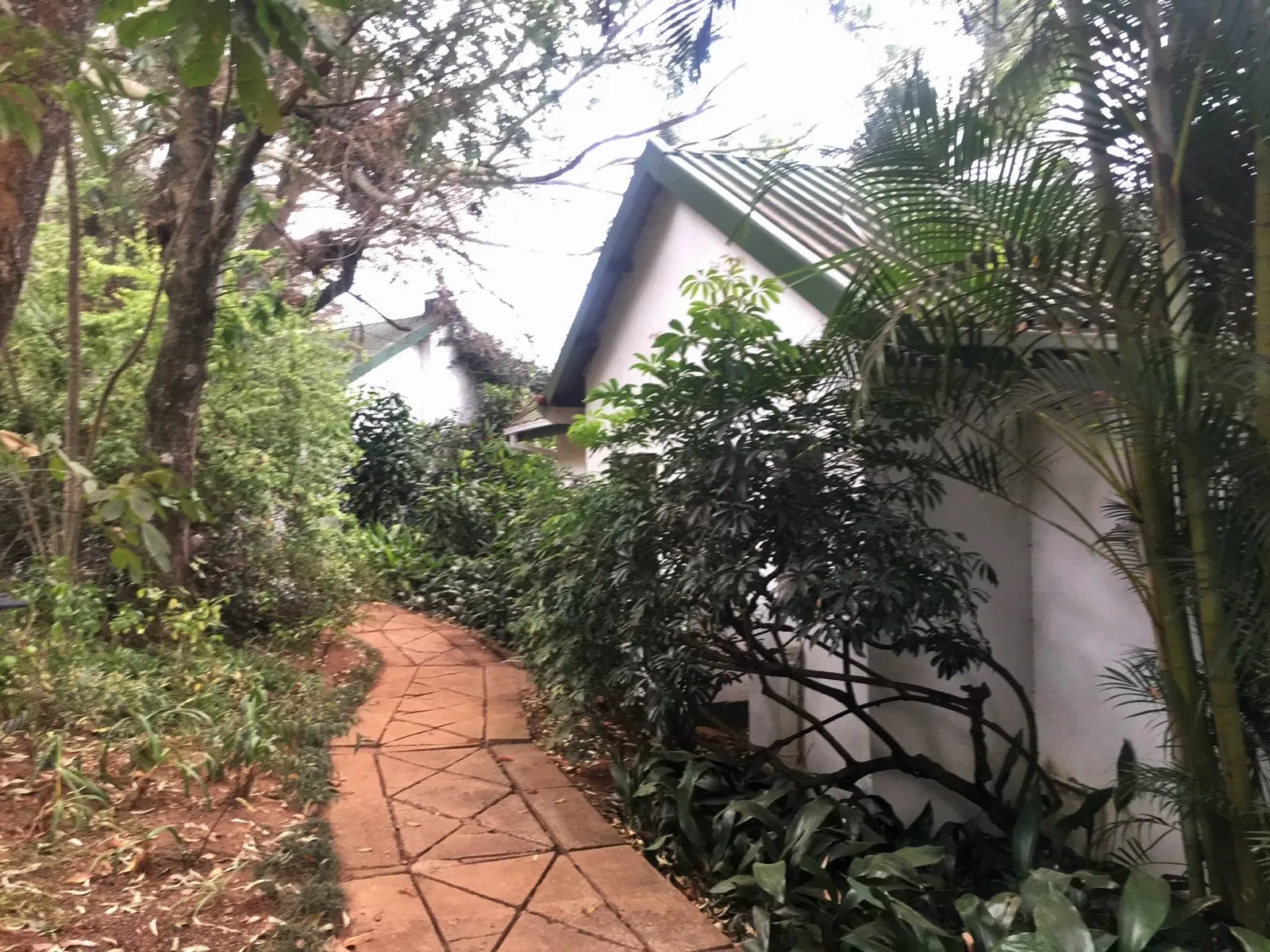 A brick path winding through the garden