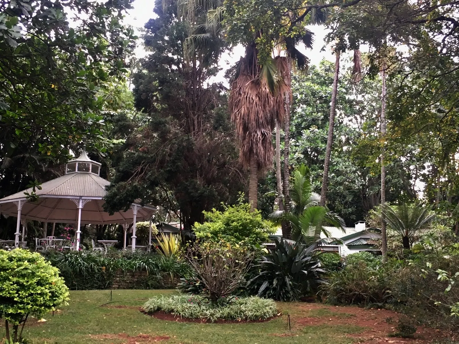 The garden and verandah