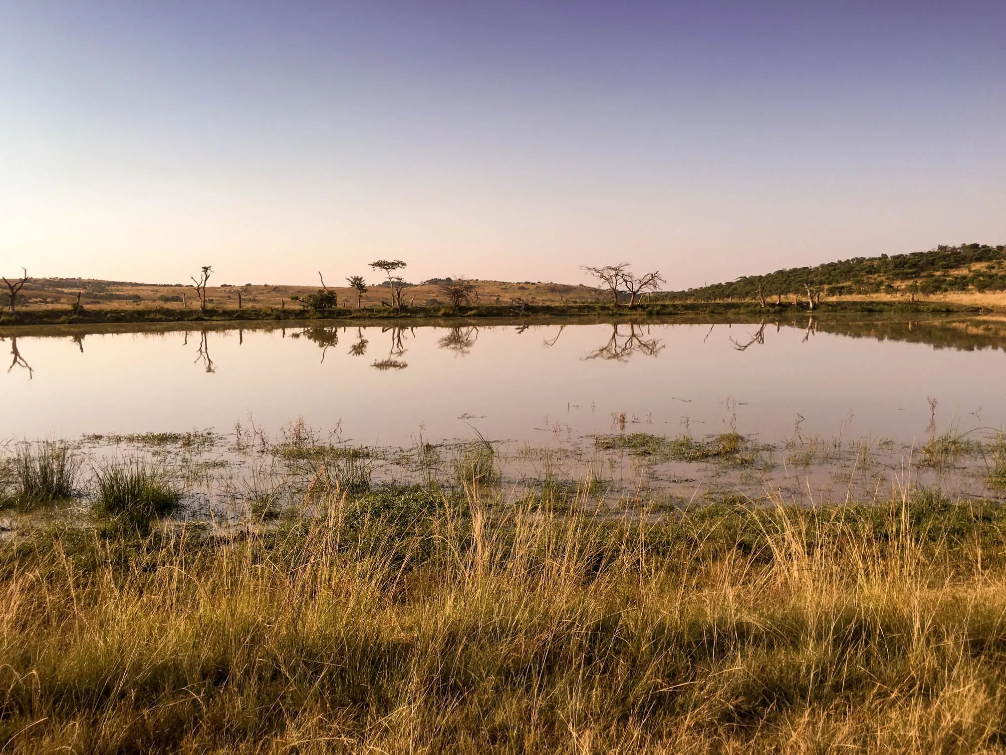 A waterhole at dusk, still enough to mirror the sky