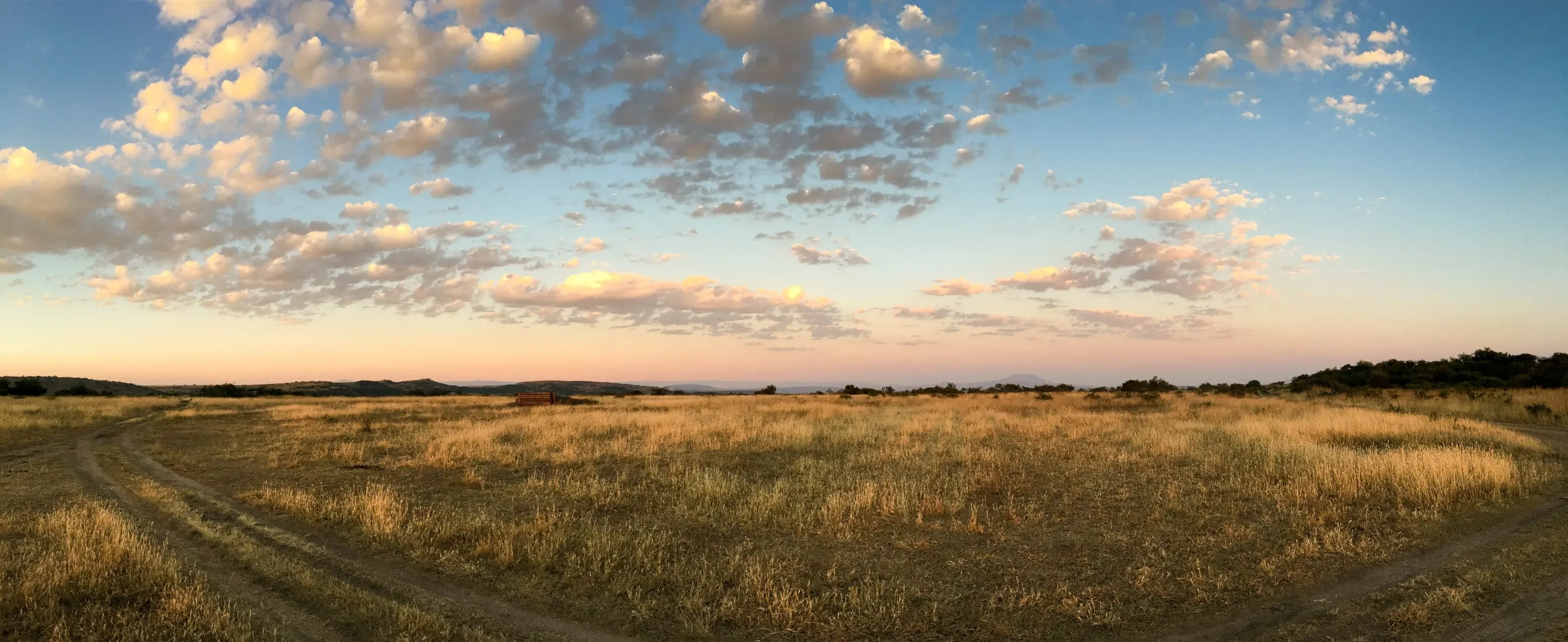 Grassy plains running to the horizon under a wide evening sky