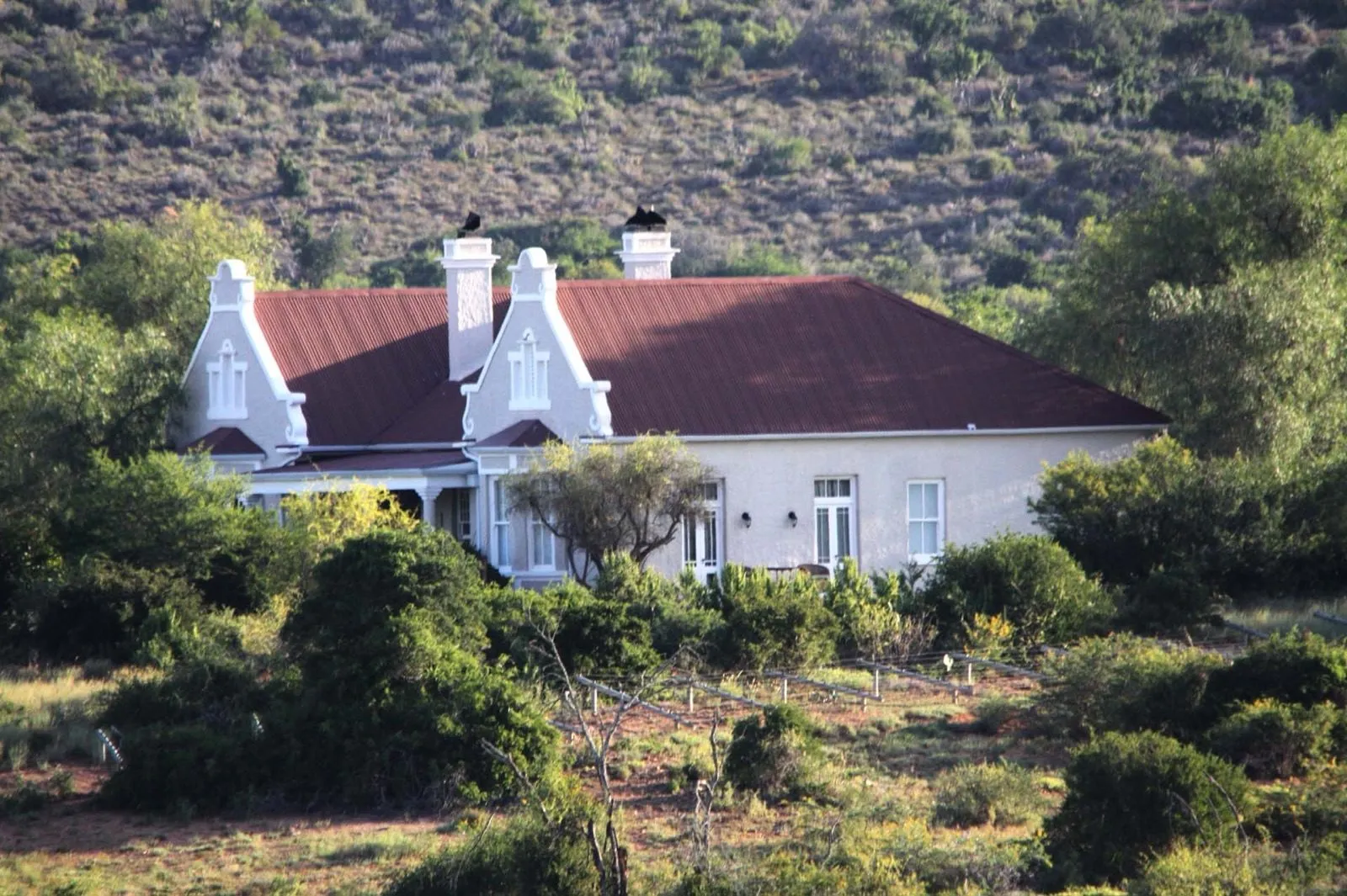 The homestead on the hillside