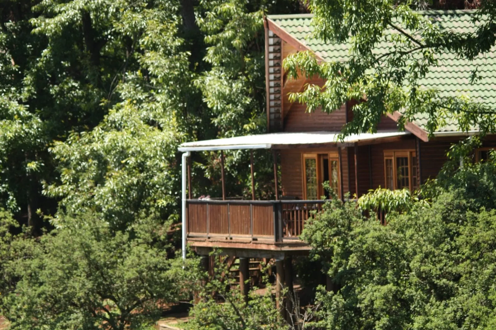 A cabin tucked in among the trees