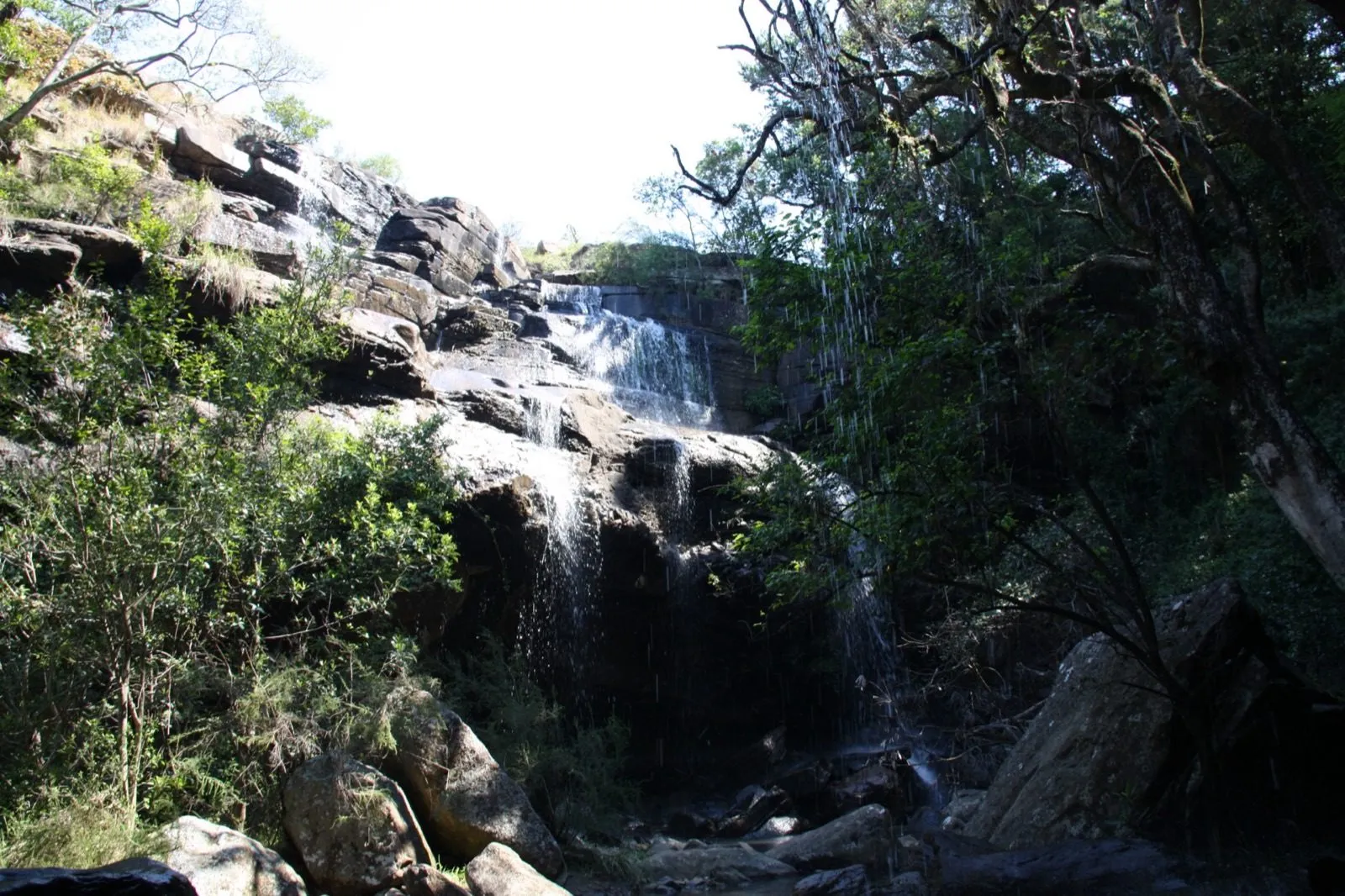 A waterfall running down through the trees