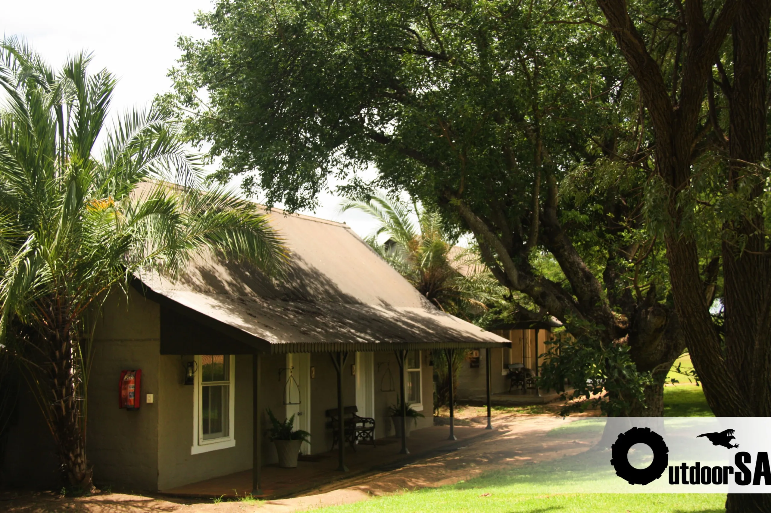 The camp's thatched cottages under old shade trees