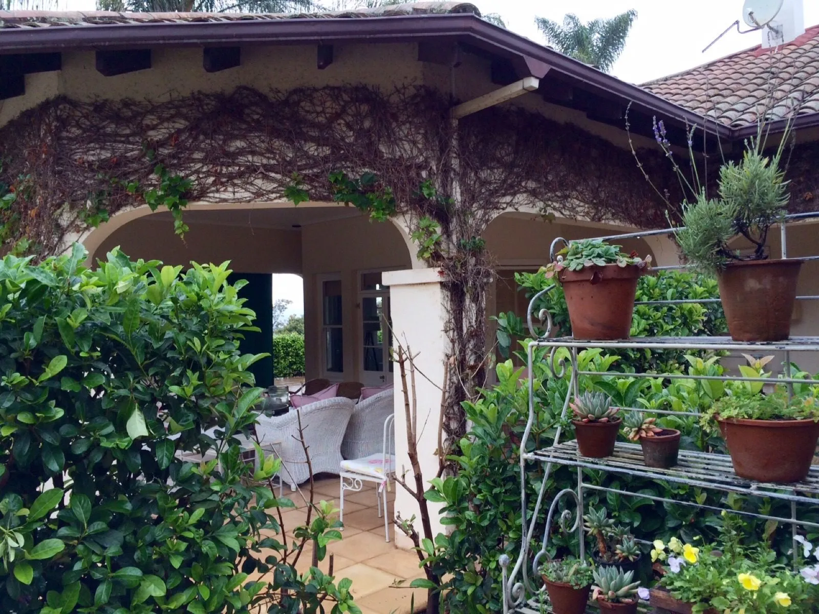 The entrance set about with pots