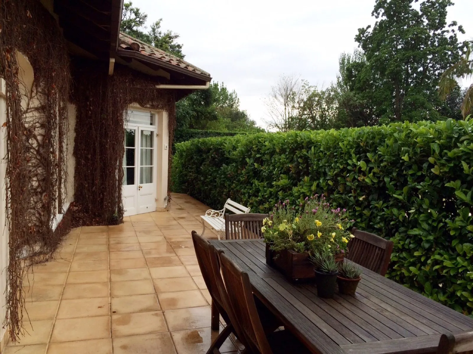 The garden below the house