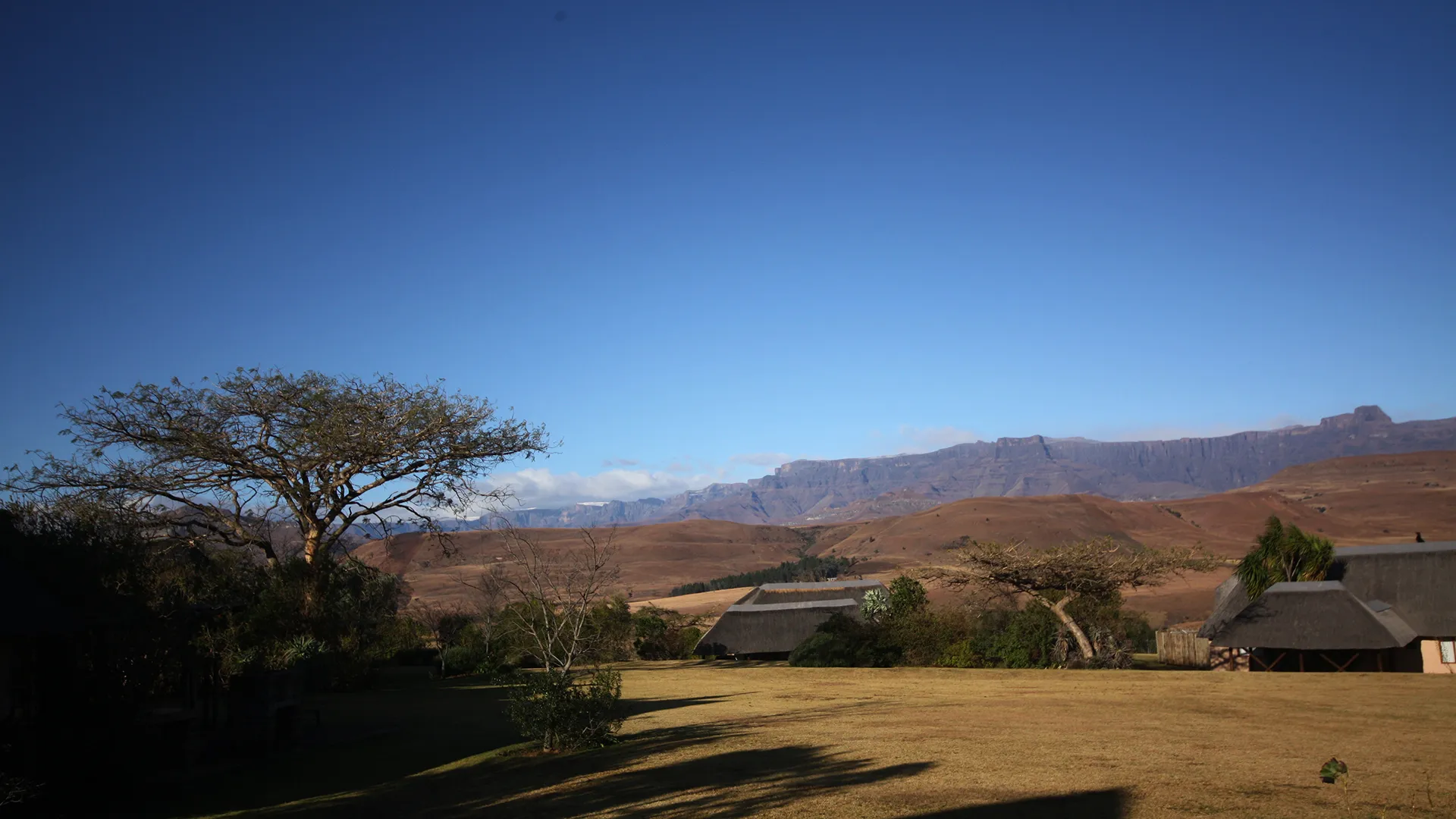 The lodge's thatched suites on the grass with the Drakensberg beyond