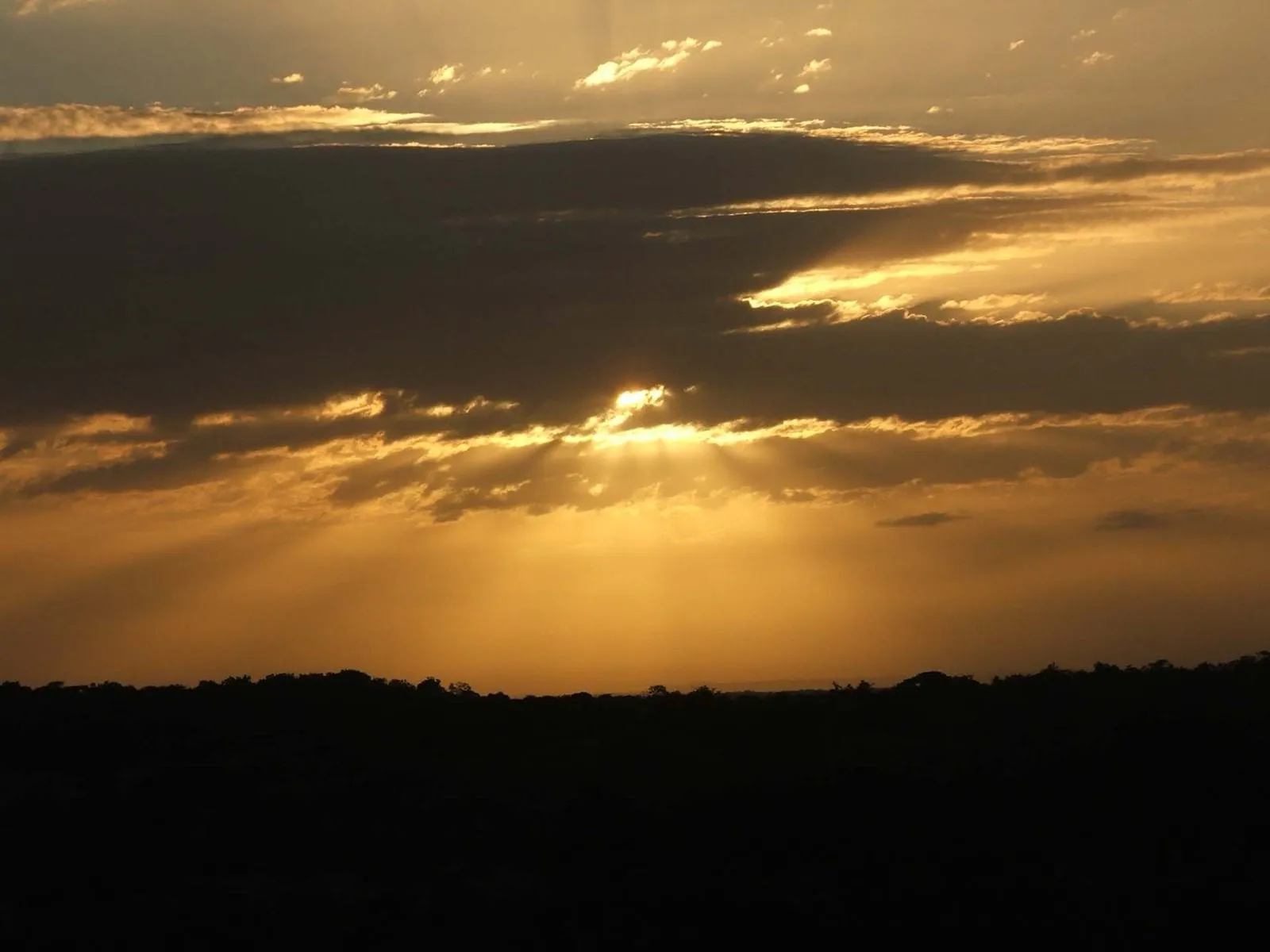 Sunset over the bush