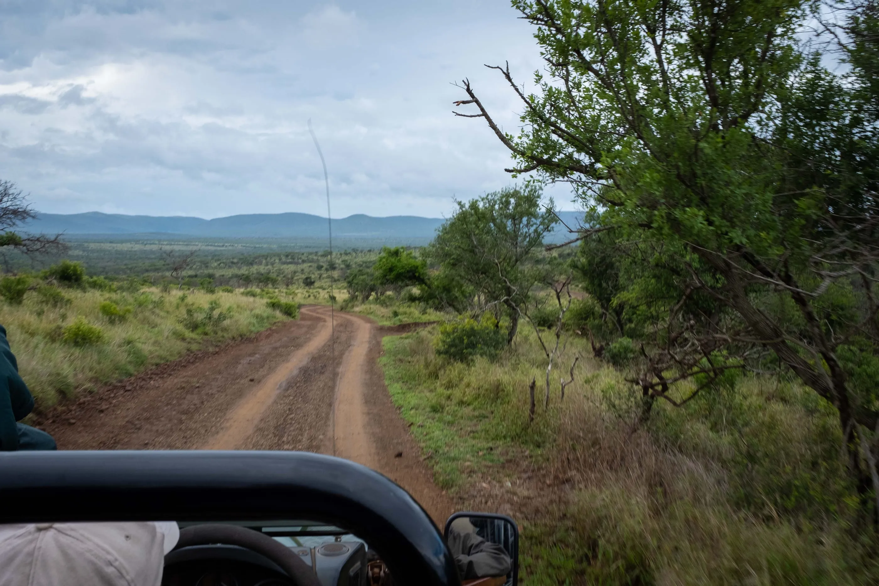 A sand track running through the bush, seen from an open game drive vehicle