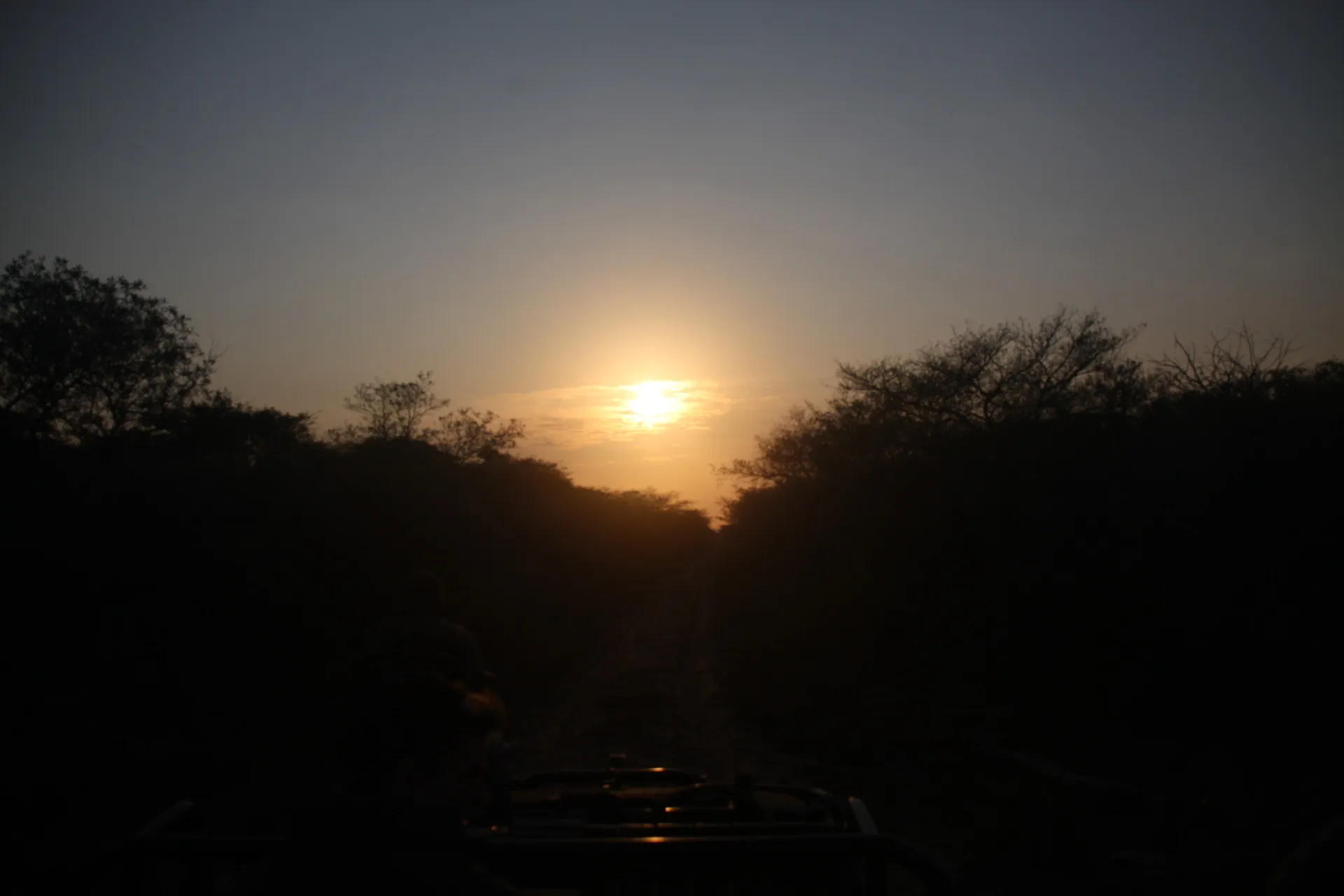 The sun dropping low over the reserve