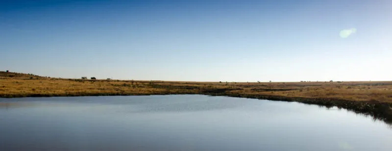 A still waterhole under a wide pale sky at first light